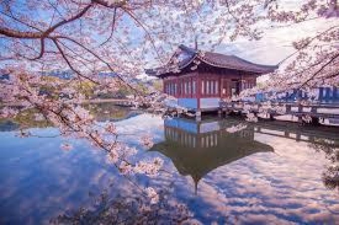 Odborná stáž Čína 2026